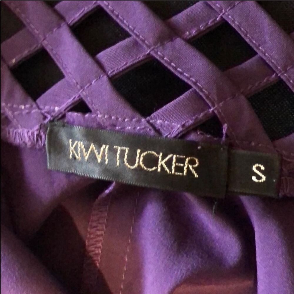Purple Kiwi Tucker Dress - Picture 3 of 4